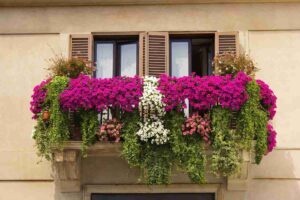 balcone con fiori, ecco come farlo rigoglioso tutto l'anno