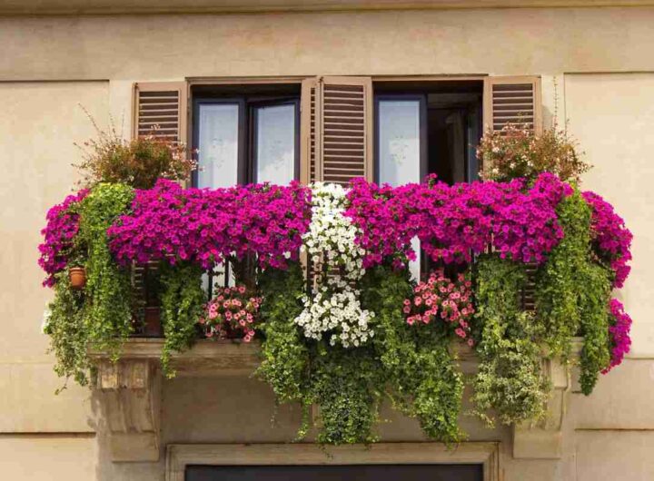 balcone con fiori, ecco come farlo rigoglioso tutto l'anno