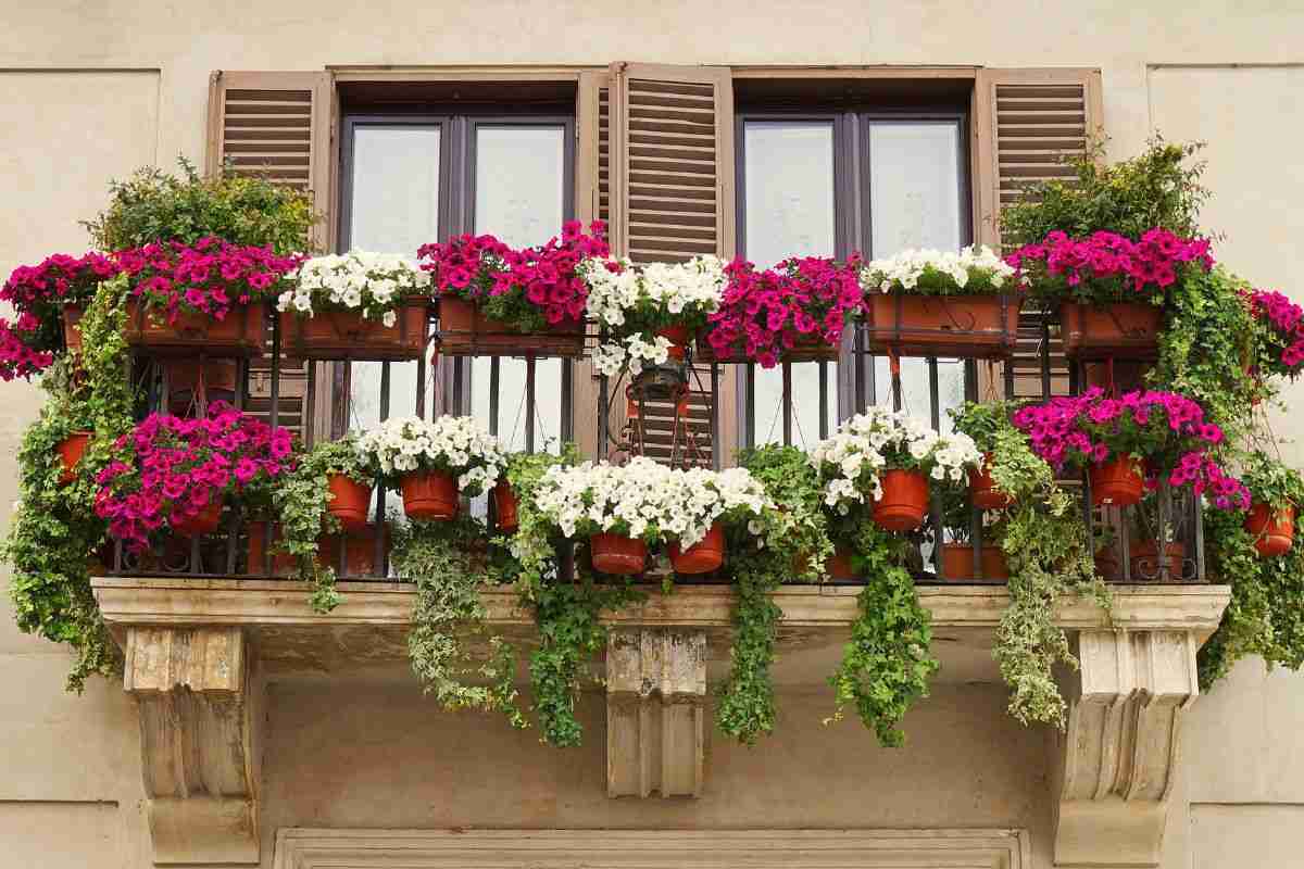 balcone con fiori, ecco come farlo rigoglioso tutto l'anno