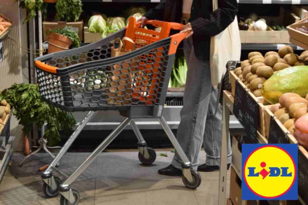 spesa lidl
