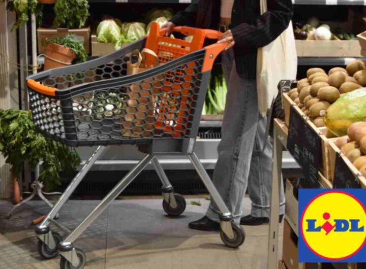 spesa lidl