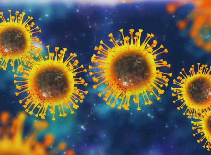 Allerta per tutti i vacanzieri, gira un nuovo virus pericolosissimo